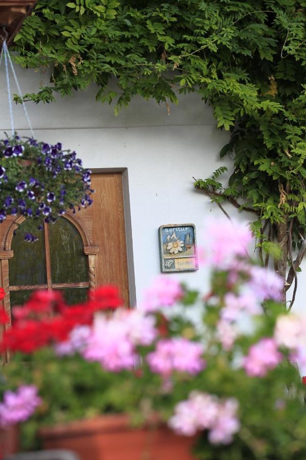 Agriturismo Maso Santa Libera Tesero Exterior photo